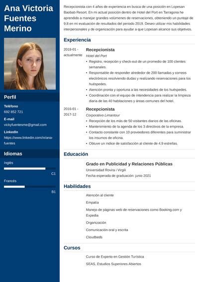 lopesan curriculum|Enviar tu Currículum a Lopesan: Guía con Ejemplos .